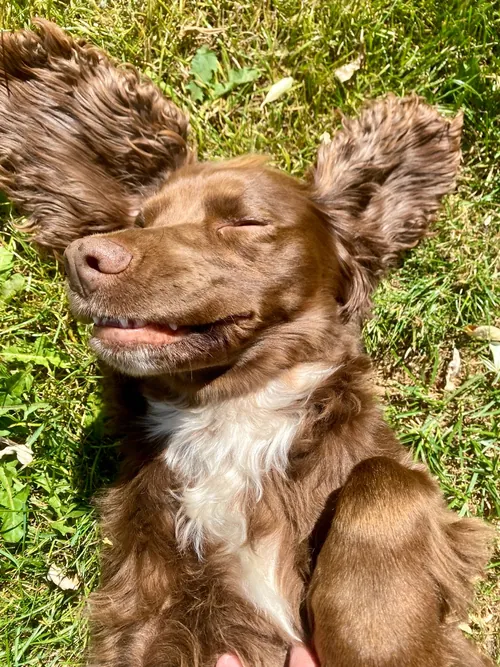 Tia portrait
